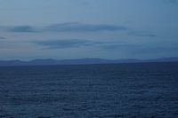 
DSC00502